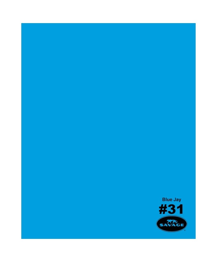 Savage Widetone Seamless Background Paper #31 Blue Jay 2.7m