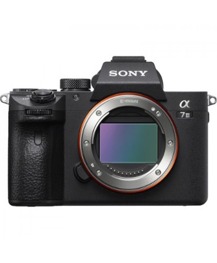 Sony Alpha a7 III Mirrorless Digital Camera